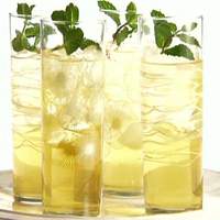 Apple and Mint Punch Recipe