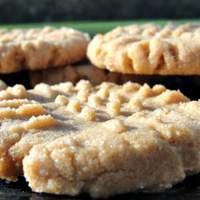 Bailey's Flourless Peanut Butter Cookies Recipe