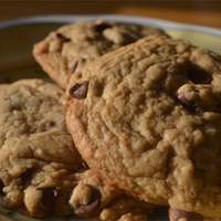 Best Big, Fat, Chewy Chocolate Chip Cookie Recipe