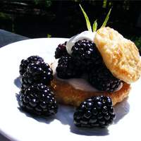 Blackberry Puff Pastry Tarts Recipe
