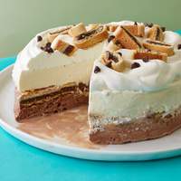 Chocolate, Vanilla and Fig Layered Ice Cream Cake Recipe