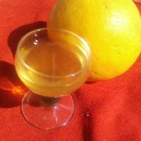 Citrus Extracts at Home Recipe