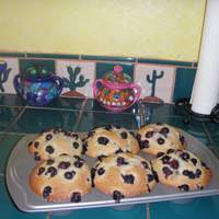 CopyCat Junior's "Berries on Top" Jumbo Blueberry Muffins Recipe