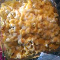 Four Cheese Macaroni Casserole Recipe