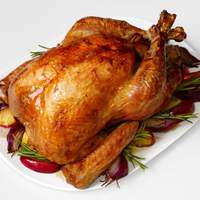 Good Eats Roast Turkey Recipe