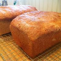 Honey Wheat Bread II Recipe