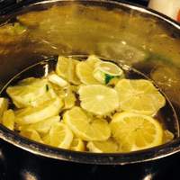 Lemon Lime Syrup for SodaStream Recipe