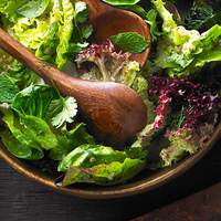 Little Lettuces with Herbs Recipe