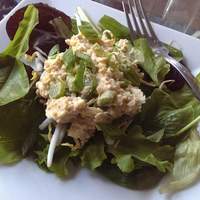 Mock Tuna Salad Recipe