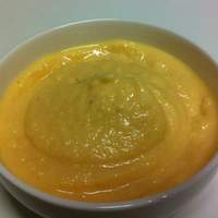 Orange Ice "Cream" - Vegan Made in the Thermomix Recipe