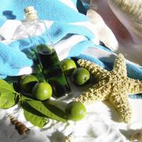 Pure Key Lime Extract Recipe