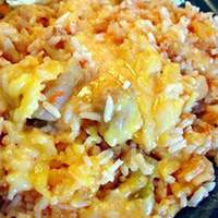 Salsafied Chicken and Rice Recipe