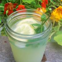 Vietnamese Mint Lemonade Recipe