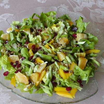 Bibb Greens Topped With Orange, Dried Cranberries and Sunflower - RecipeNode.com