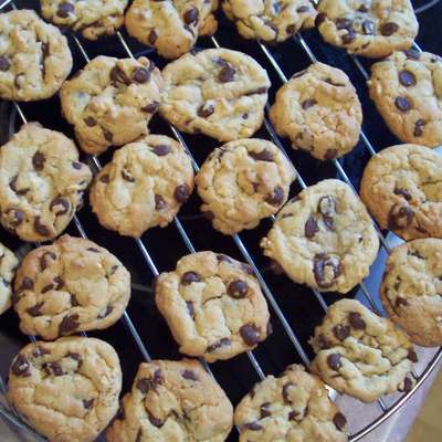 Chewy Delicious Chocolate Chip Cookies - RecipeNode.com