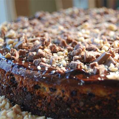 Heavenly Chipped Chocolate and Hazelnut Cheesecake - RecipeNode.com