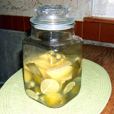 Lemons & Limes With Vinegar & Salt Brine - RecipeNode.com