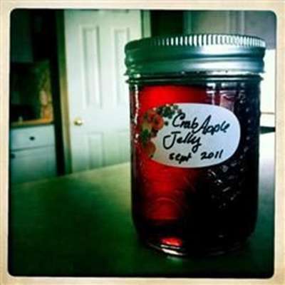 Mary Wynne's Crabapple Jelly - RecipeNode.com