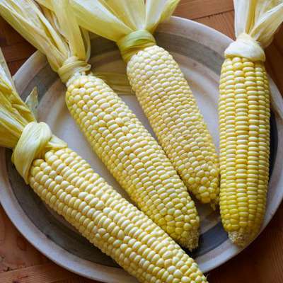 Oven Roasted Corn on the Cob - RecipeNode.com