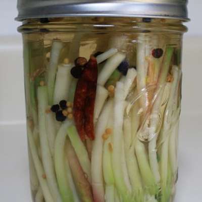 Pickled Ramps, Scallions or Leeks - RecipeNode.com