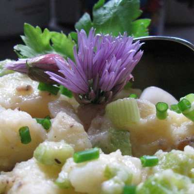Potato Salad With Celery and Scallions - RecipeNode.com