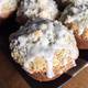 Lemon Poppy Seed Muffins I
