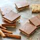 No-Bake Chocolate-Pretzel-Peanut Butter Squares
