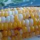 Sweet Grilled Corn